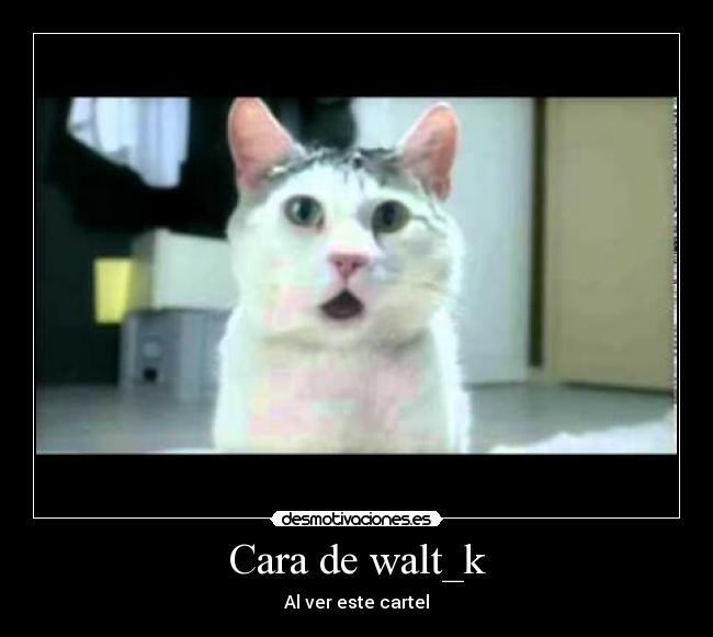 Cara de walt_k - Al ver este cartel