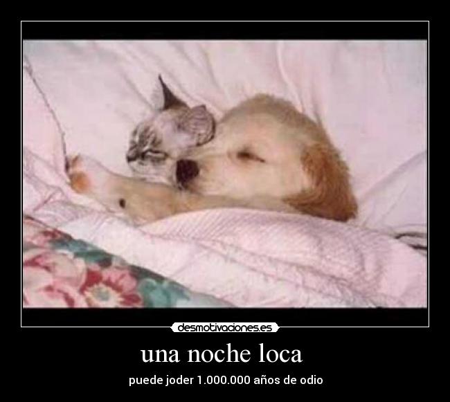 una noche loca - puede joder 1.000.000 años de odio