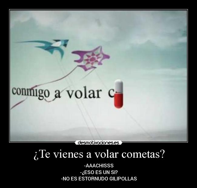 ¿Te vienes a volar cometas? - 