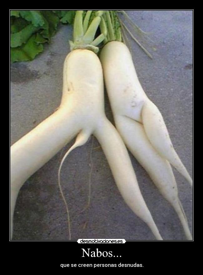 Nabos... - que se creen personas desnudas.