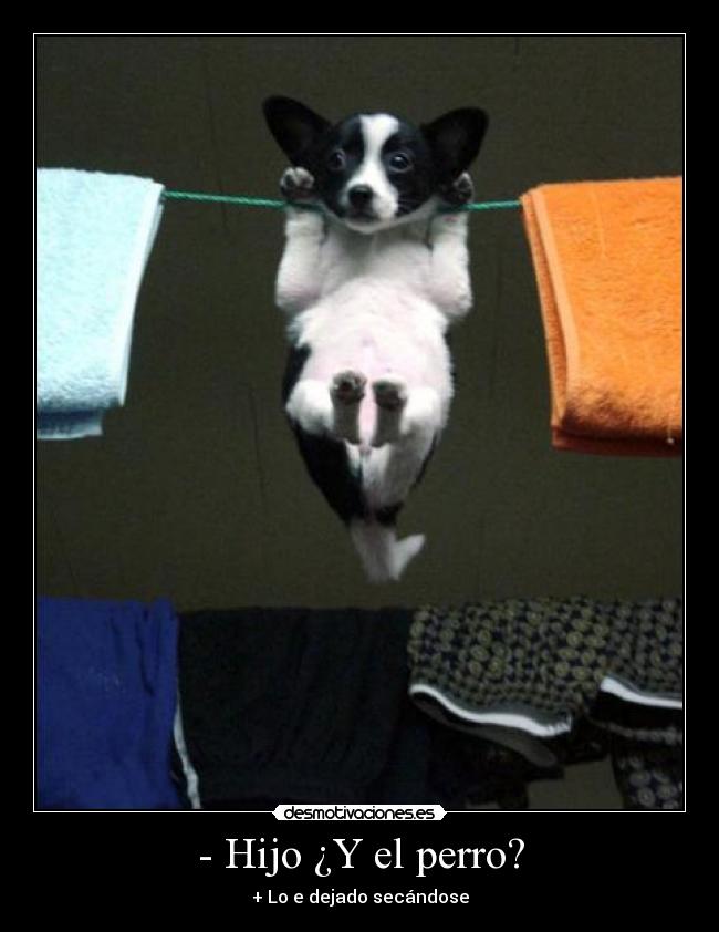 - Hijo ¿Y el perro? - + Lo e dejado secándose