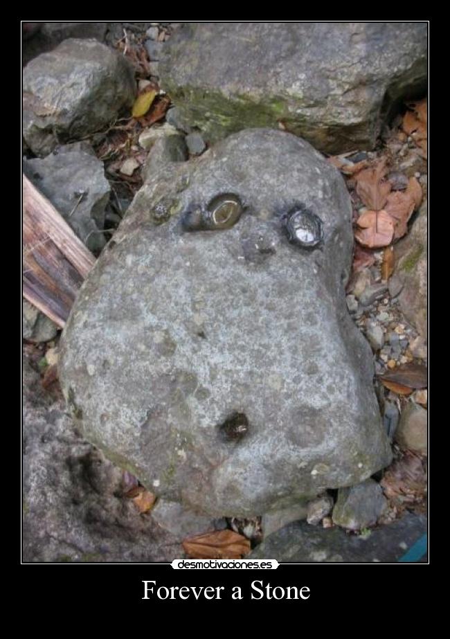 Forever a Stone -