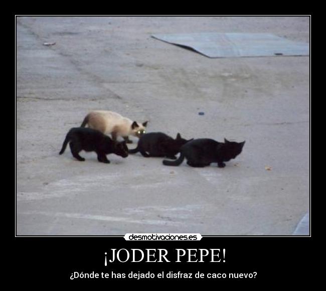 ¡JODER PEPE! -