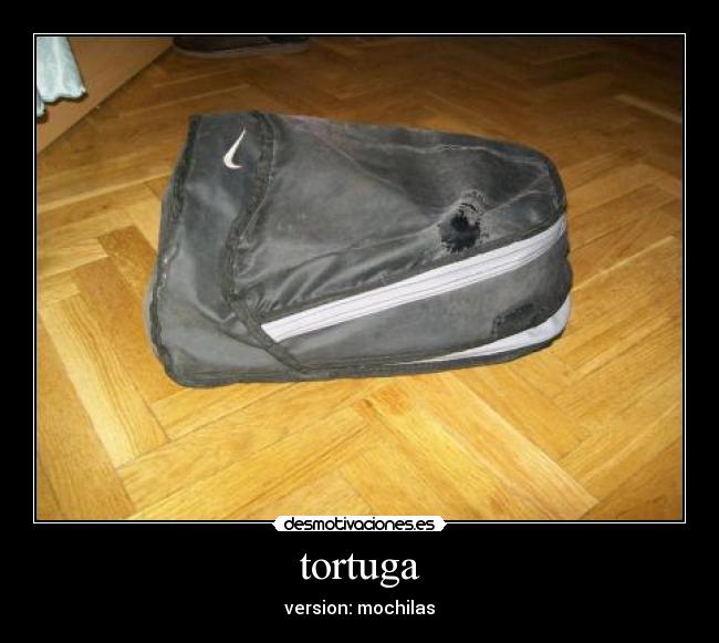 tortuga - version: mochilas