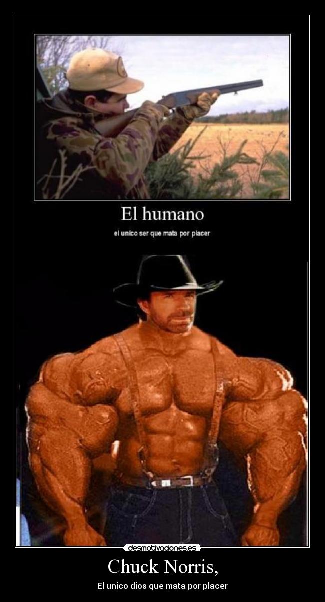 Chuck Norris, - El unico dios que mata por placer