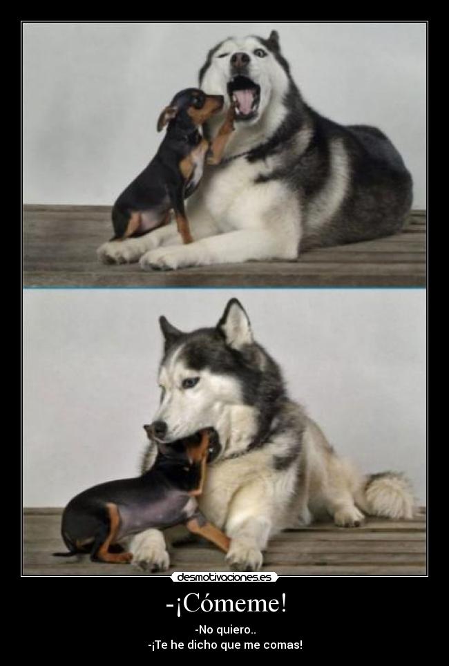 -¡Cómeme! - -No quiero..
-¡Te he dicho que me comas!