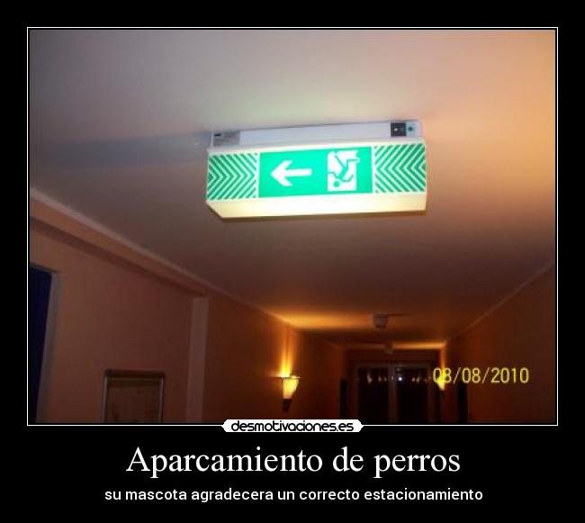 Aparcamiento de perros -