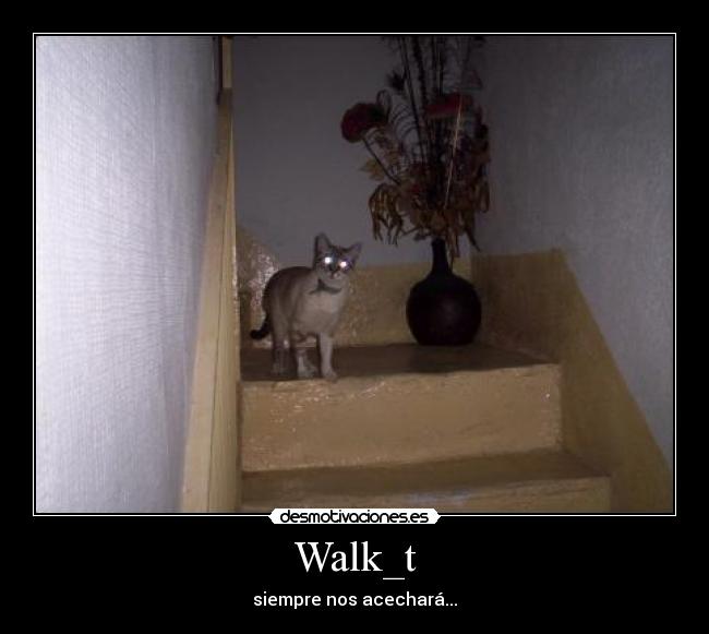 carteles walk_t gato desmotivaciones