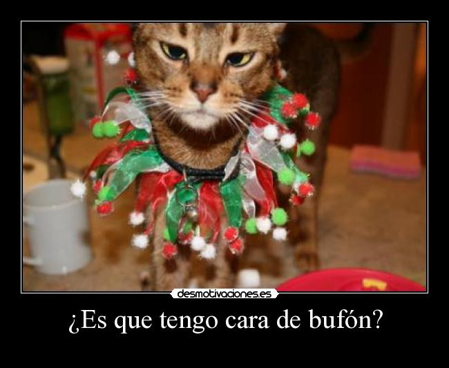 carteles gato desmotivaciones