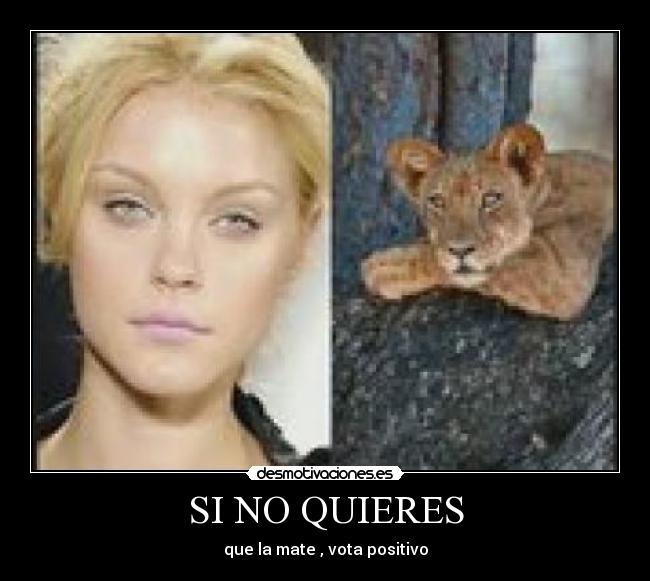 SI NO QUIERES -