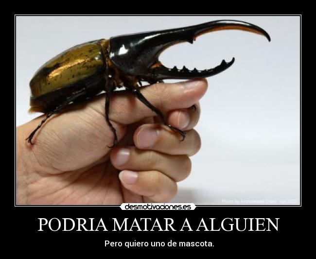 PODRIA MATAR A ALGUIEN - 