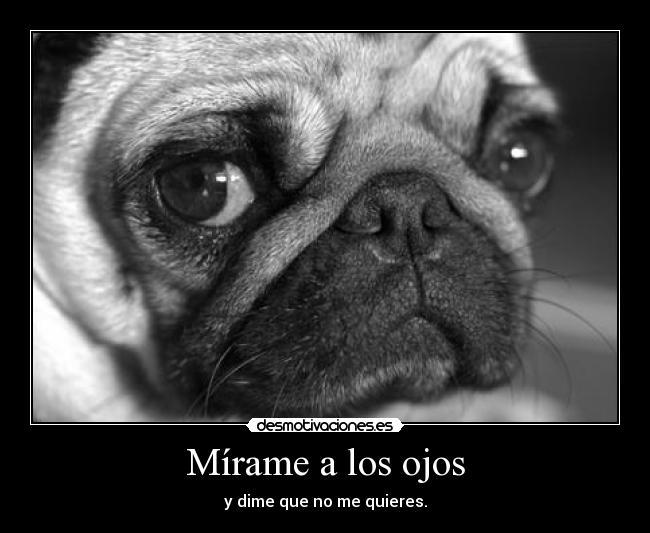 Mírame a los ojos - 