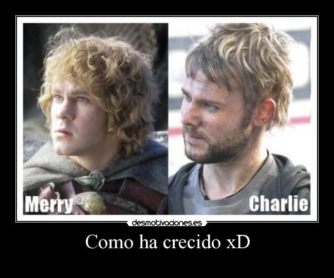 Como ha crecido xD - 