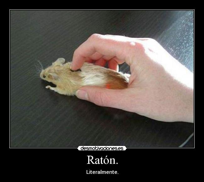 Ratón. - Literalmente.
