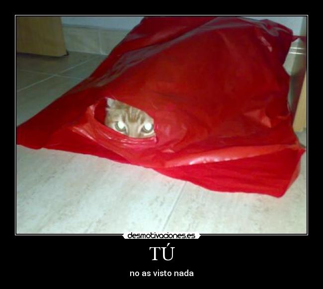 TÚ - no as visto nada