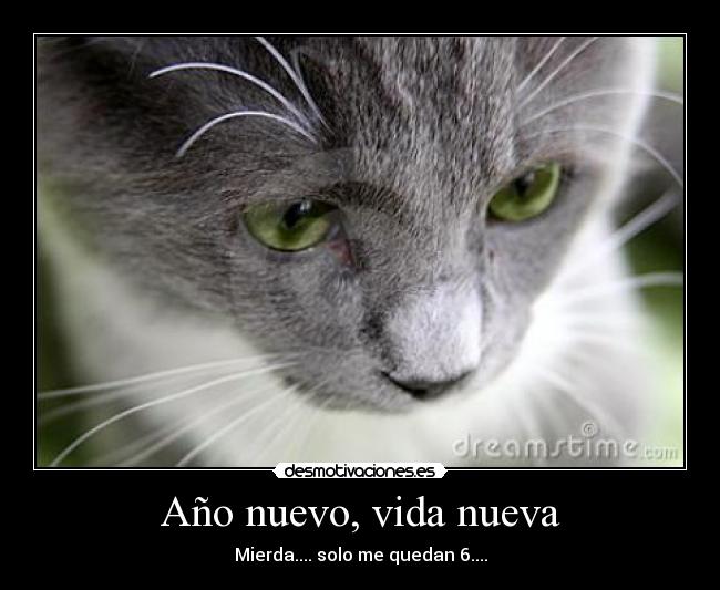 Año nuevo, vida nueva - 