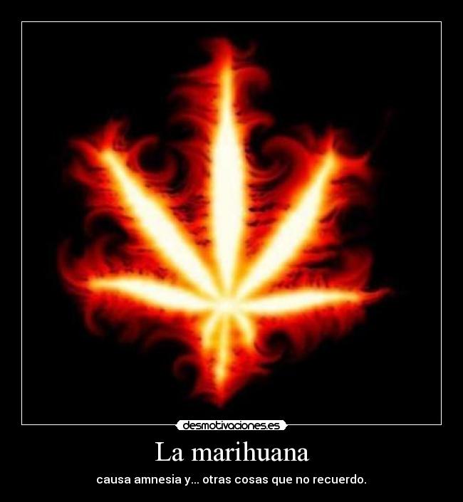 La marihuana - causa amnesia y... otras cosas que no recuerdo.