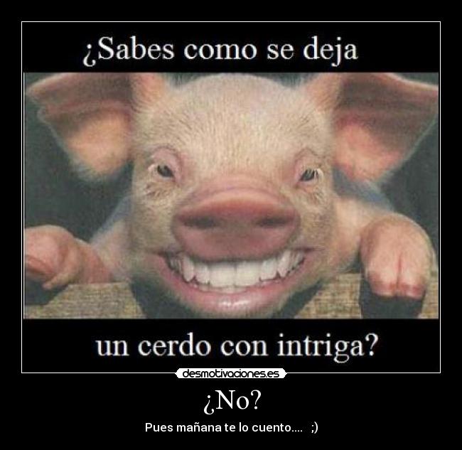 ¿No? - 