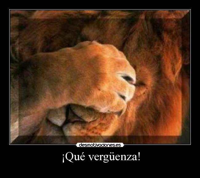 carteles jechuchito-verguenza desmotivaciones