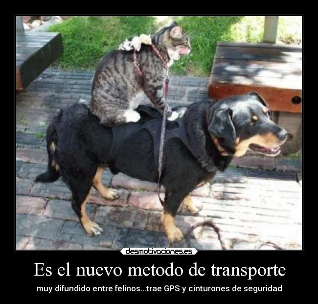 Es el nuevo metodo de transporte -