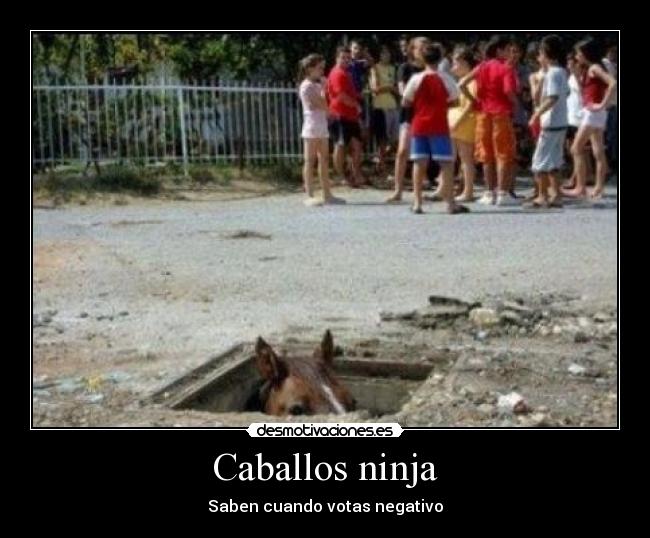 Caballos ninja - 