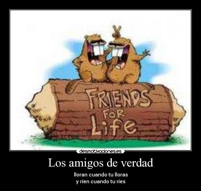 Los amigos de verdad - lloran cuando tu lloras
y ríen cuando tu ríes