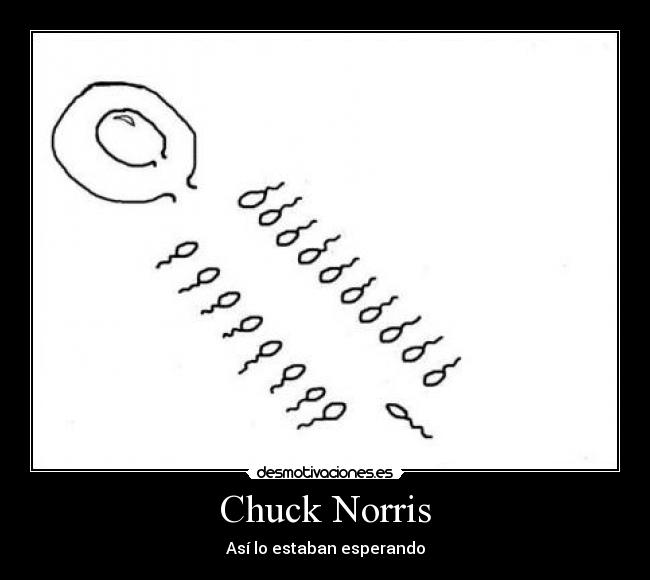 Chuck Norris - Así lo estaban esperando