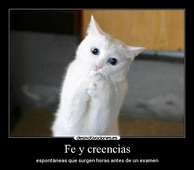 Fe y creencias - 