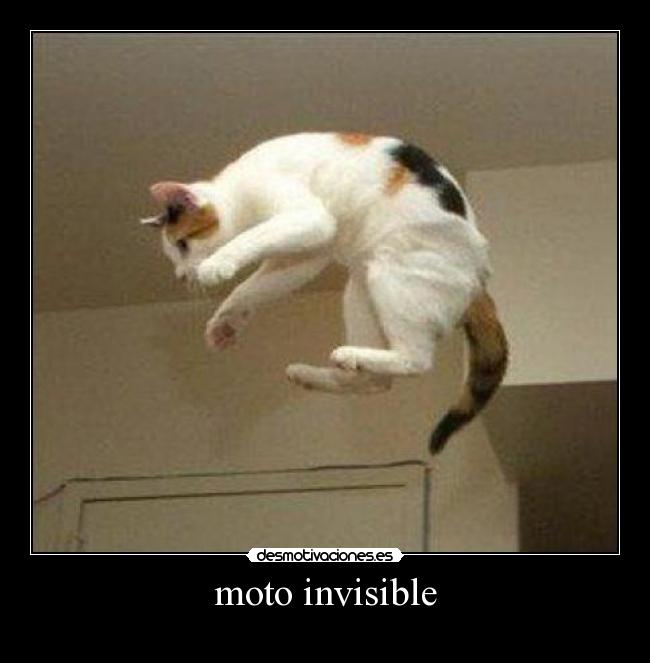 moto invisible -