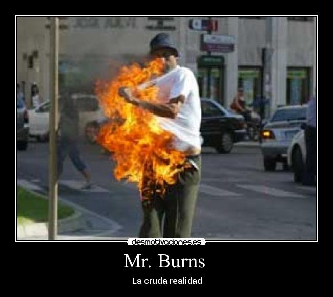 carteles burns quemado desmotivaciones