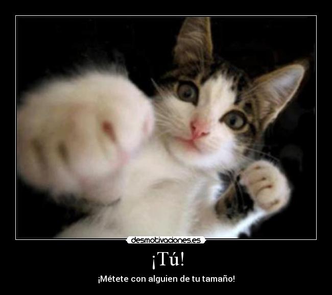 ¡Tú! - ¡Métete con alguien de tu tamaño!