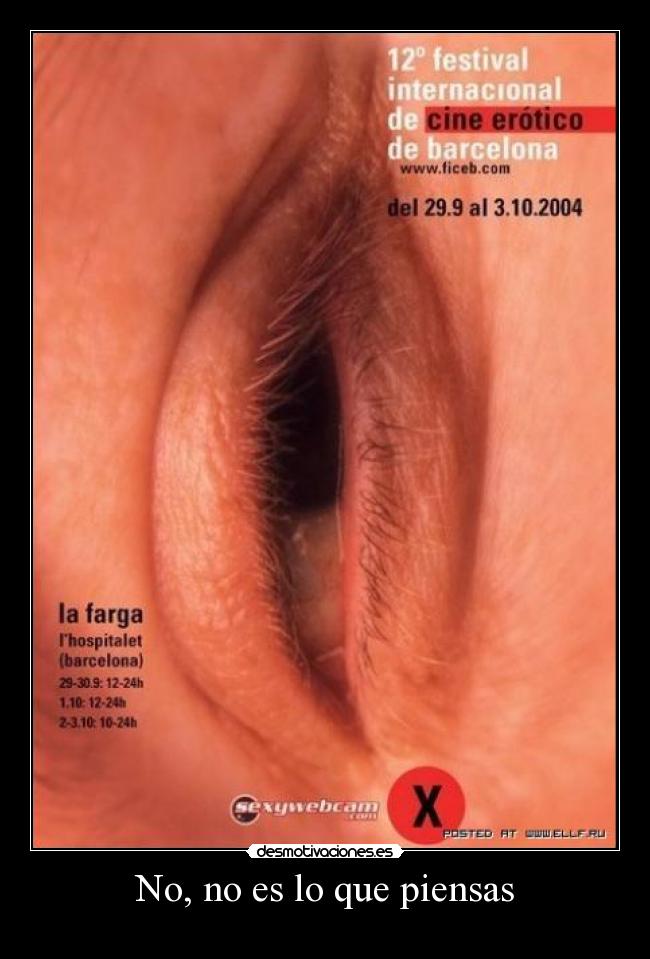 No, no es lo que piensas - 