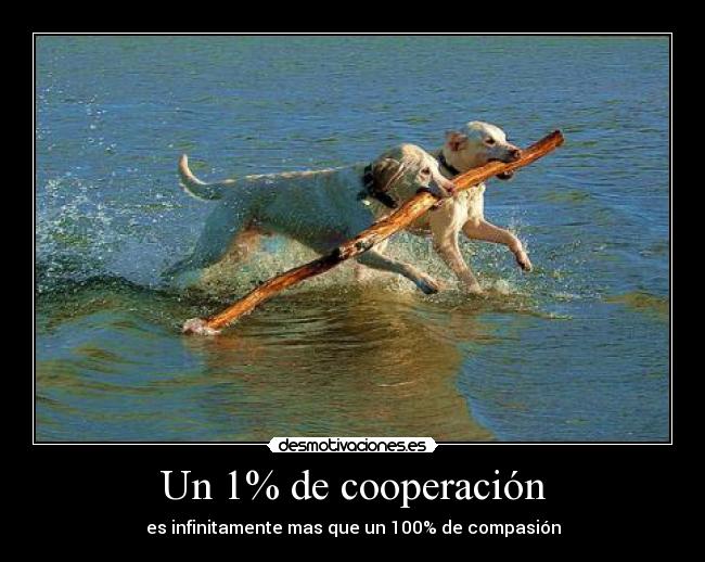Un 1% de cooperación -