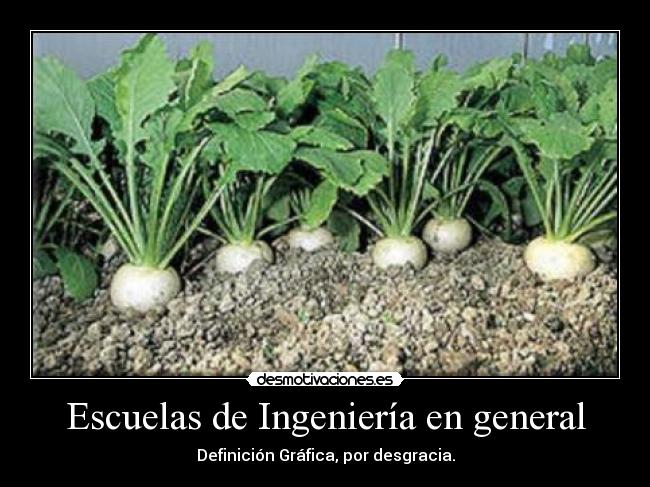 Escuelas de Ingeniería en general - Definición Gráfica, por desgracia.