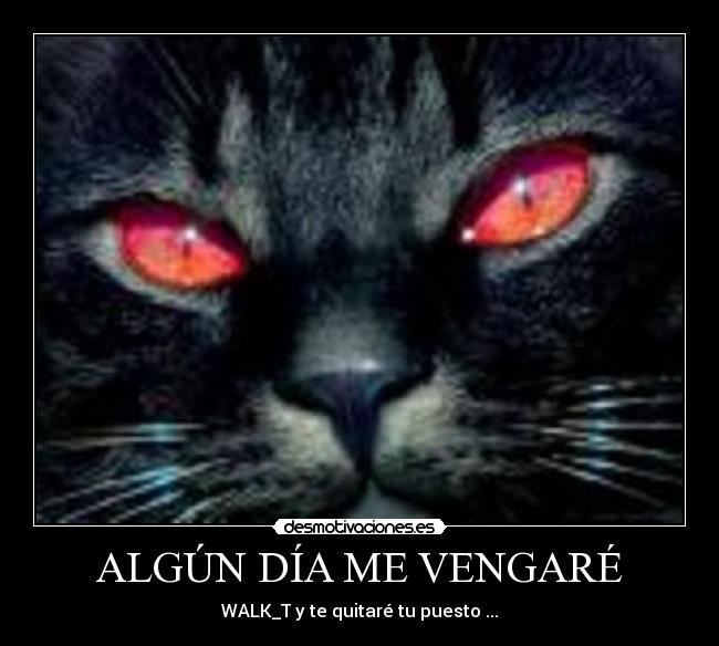 ALGÚN DÍA ME VENGARÉ - 