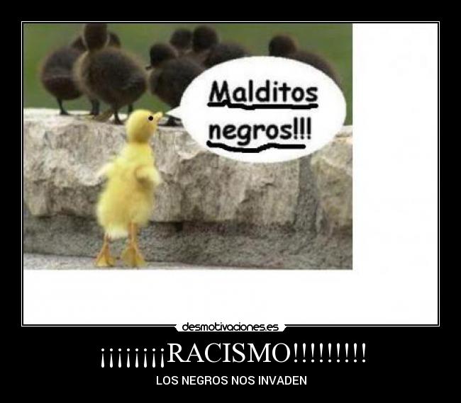 ¡¡¡¡¡¡¡¡RACISMO!!!!!!!!! - 