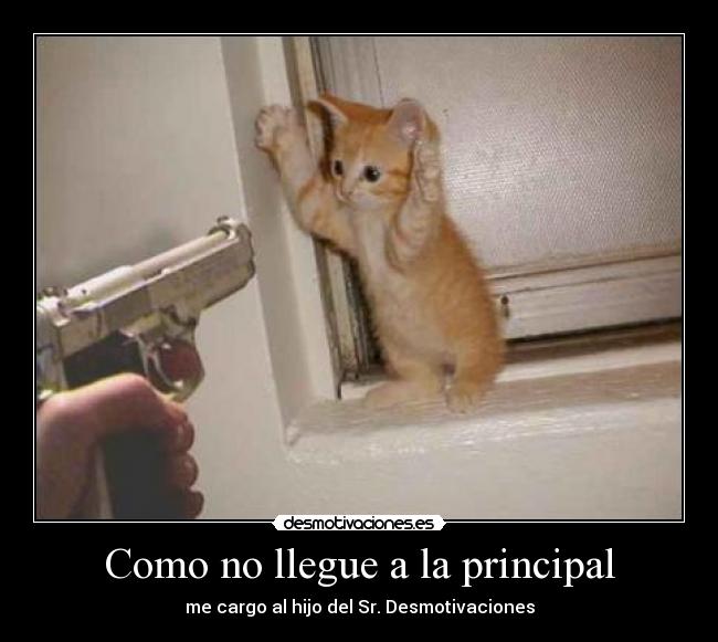 Como no llegue a la principal -