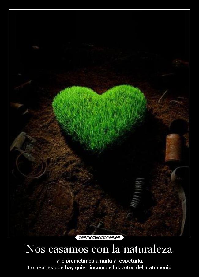 carteles naturaleza apreciarminoriamayoriaagradoagradarmundonaturalezaamarlarespetarmatrimonio desmotivaciones