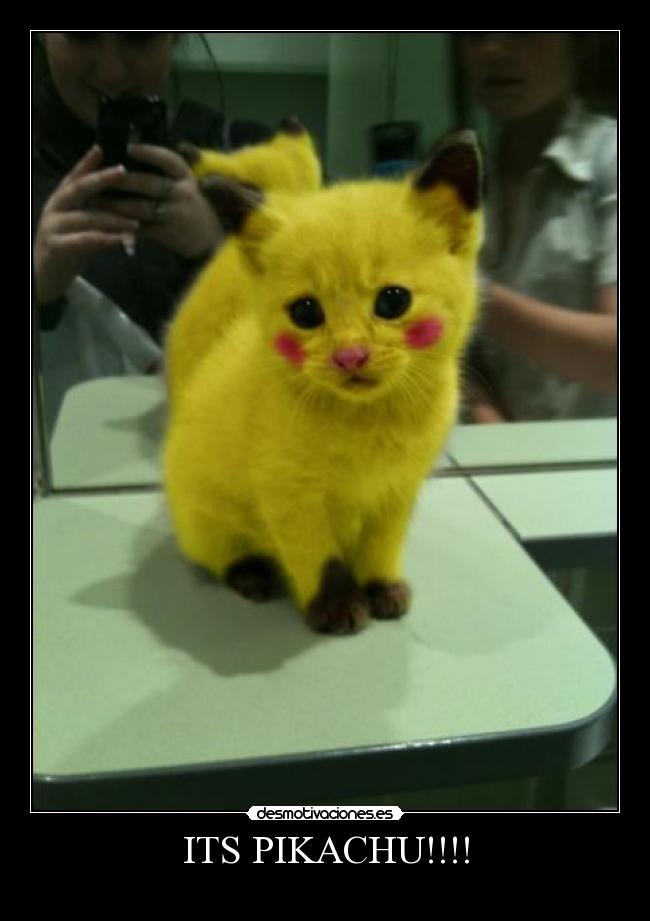 ITS PIKACHU!!!! - 