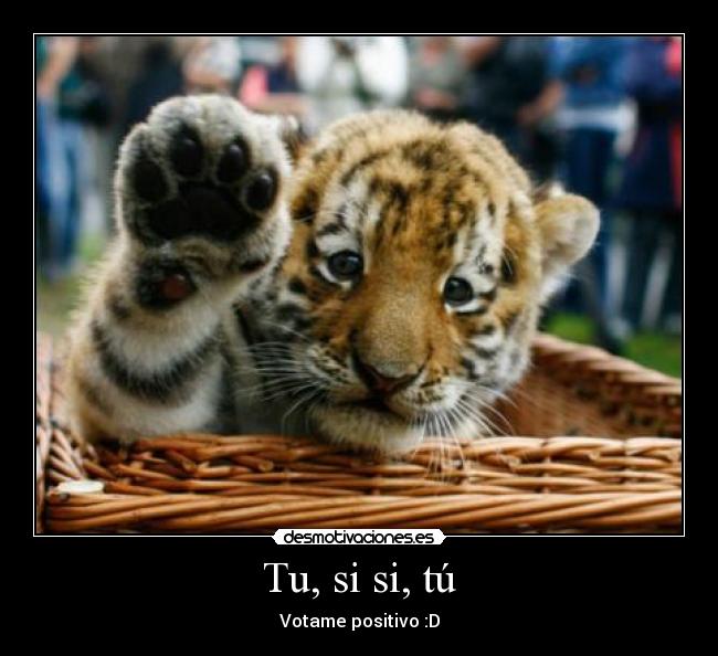 Tu, si si, tú - 