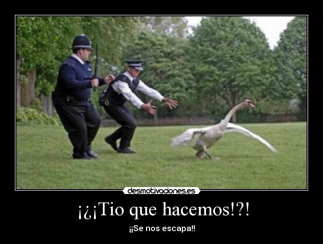 ¡¿¡Tio que hacemos!?! -