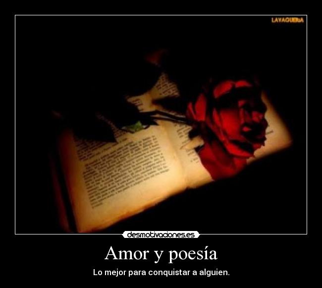 Amor y poesía -