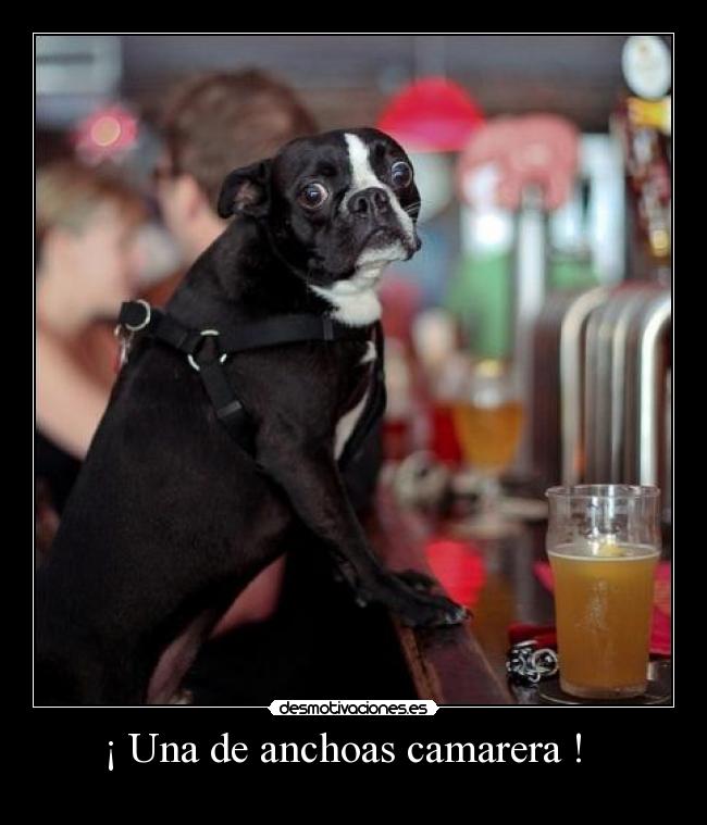 ¡ Una de anchoas camarera ! -