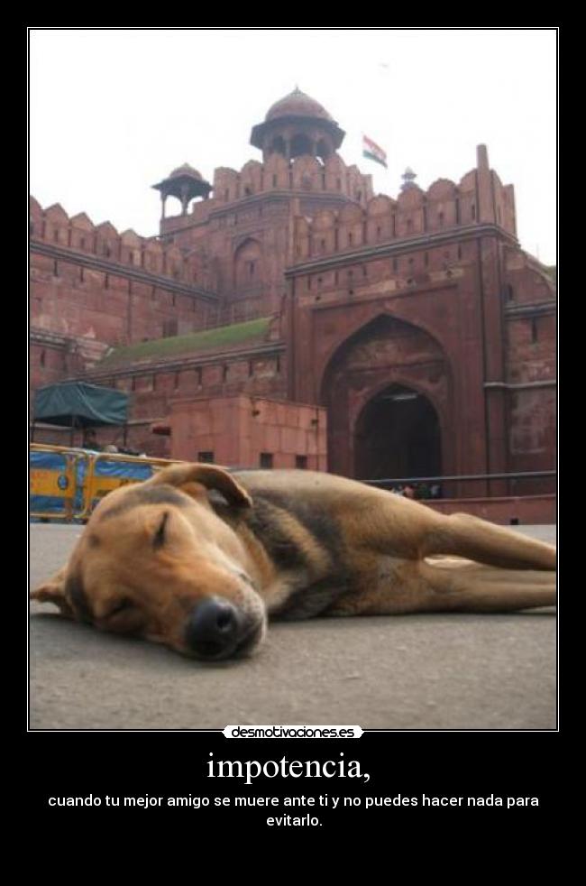 impotencia, - cuando tu mejor amigo se muere ante ti y no puedes hacer nada para evitarlo.