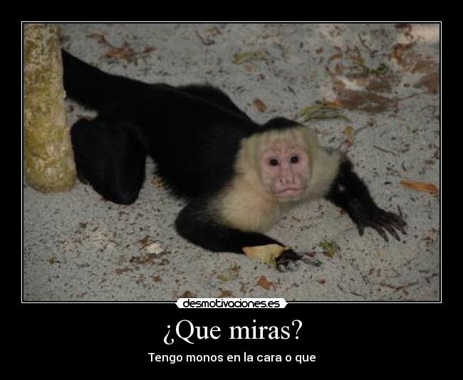 ¿Que miras? -