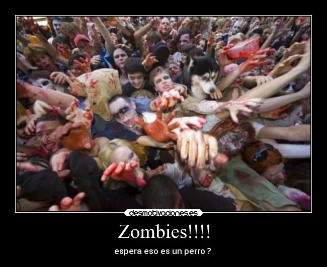 Zombies!!!! - 