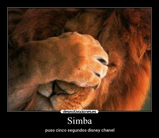 Simba - 