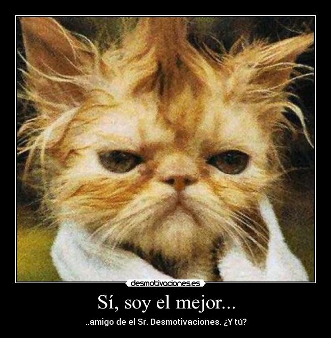 Sí, soy el mejor... -