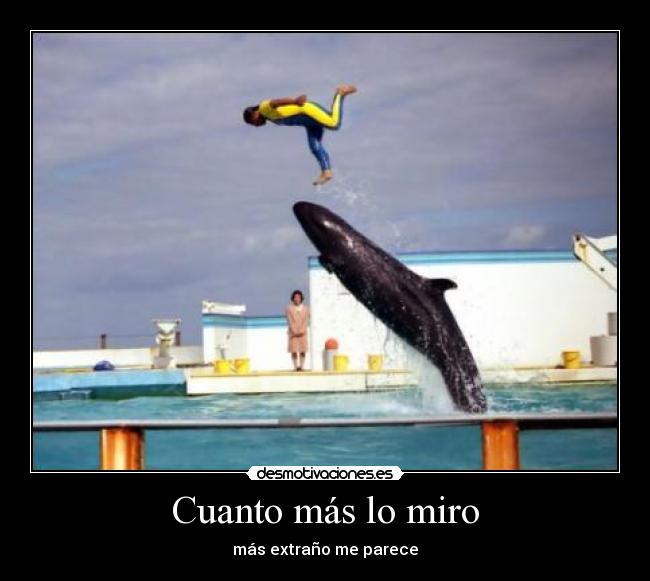 carteles wtf desmotivaciones