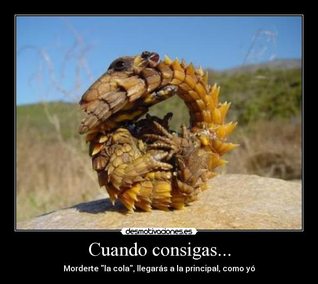 Cuando consigas... -